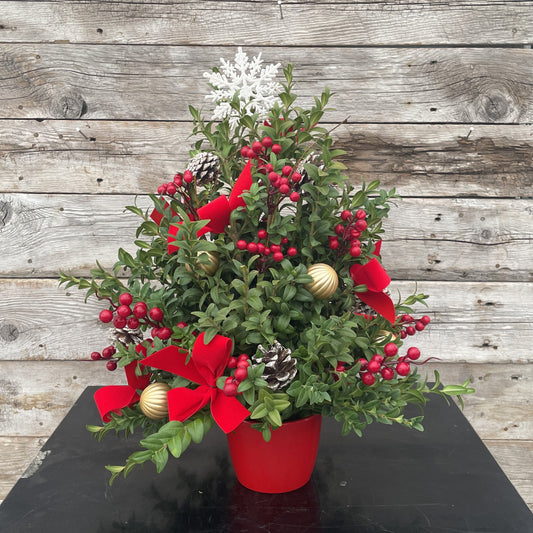 Fresh Greens Centerpiece Boxwood Tree