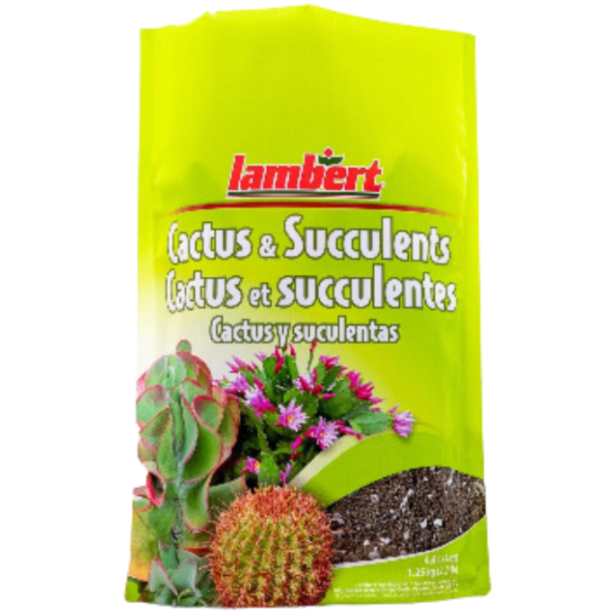 Lambert Cactus and Succulent Mix 4.4L