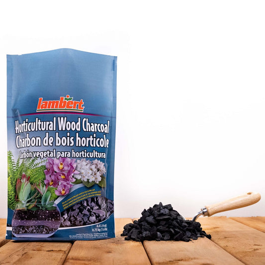 Horticultural Wood Charcoal
