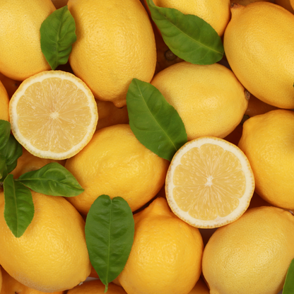 Citrus 'Lemon'