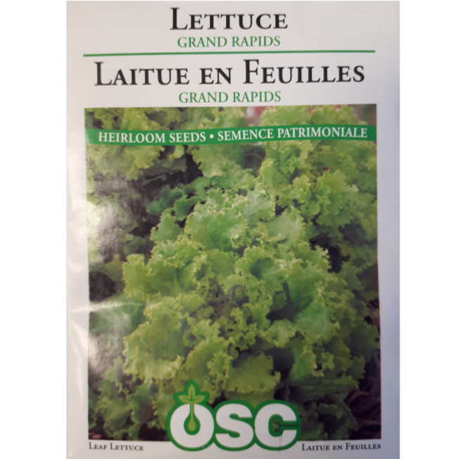 OSC Seeds Lettuce Grand Rapids Pkg