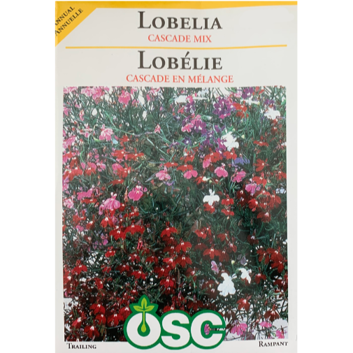 OSC Seeds Lobelia Cascade Mix Pkg
