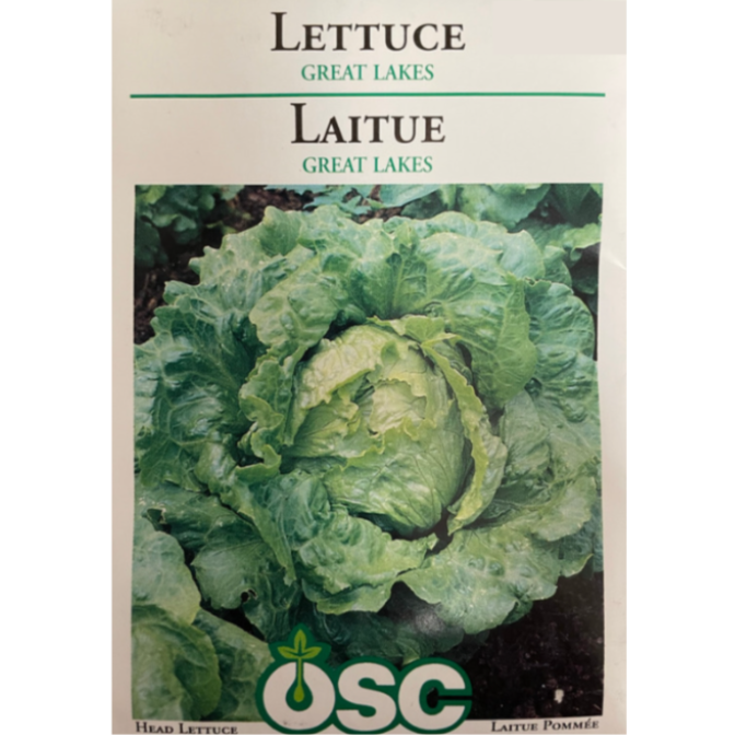 OSC Seeds Lettuce Great Lakes Pkg