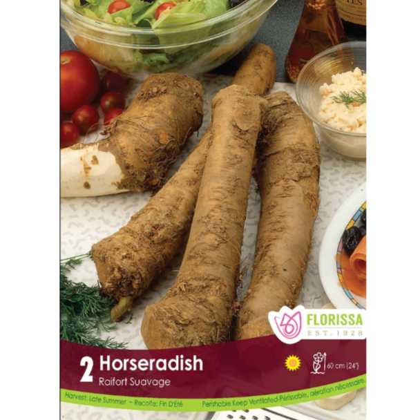Roots Horseradish 2/pkg