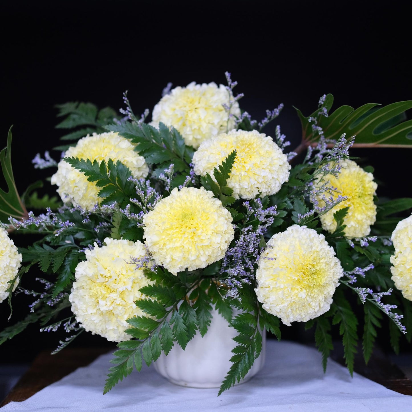 Marigold 'White Swan'