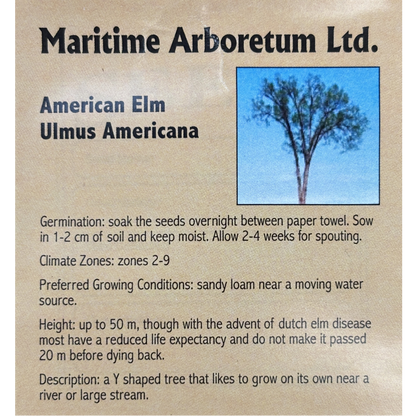 Maritime Arboretum Seed American Elm