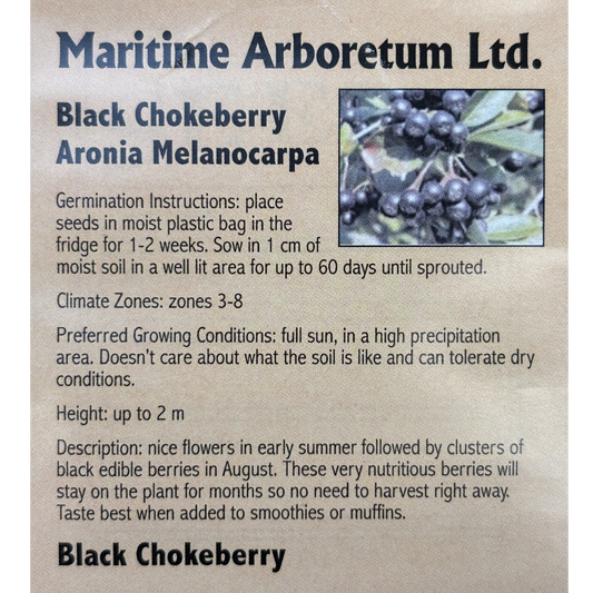 Maritime Arboretum Seed Black Chokeberry