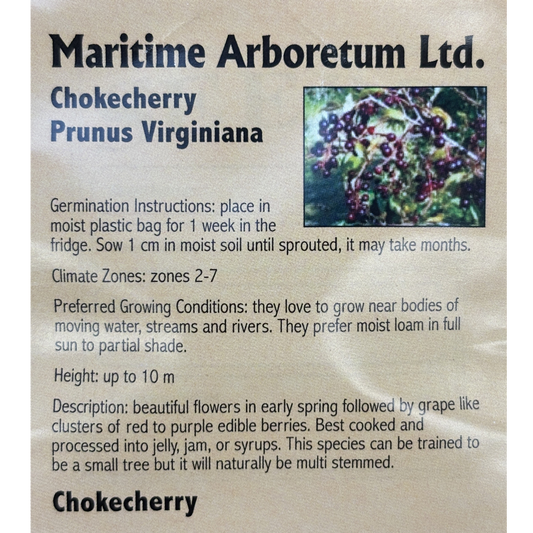 Maritime Arboretum Seed Chokecherry
