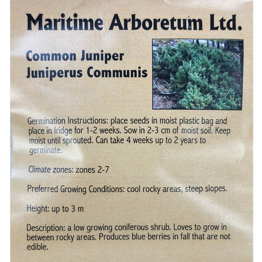 Maritime Arboretum Common Juniper