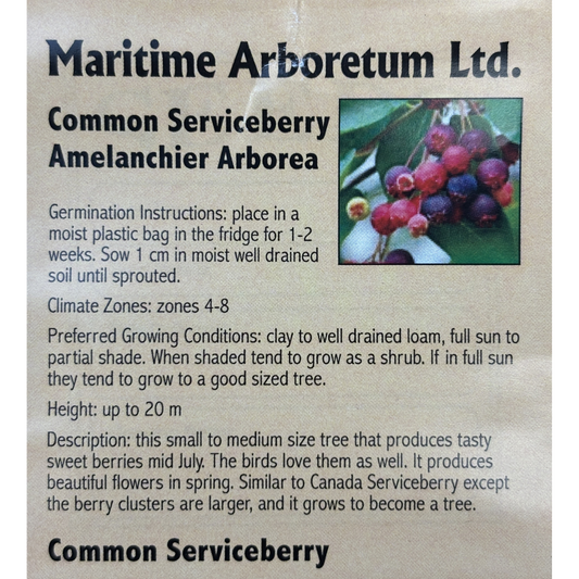 Maritime Arboretum Seed Common Serviceberry