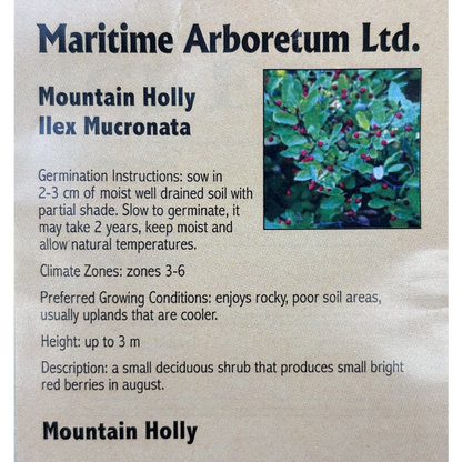 Maritime Arboretum Seed Mountain Holly