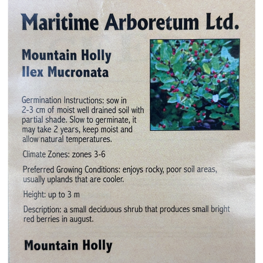 Maritime Arboretum Seed Mountain Holly