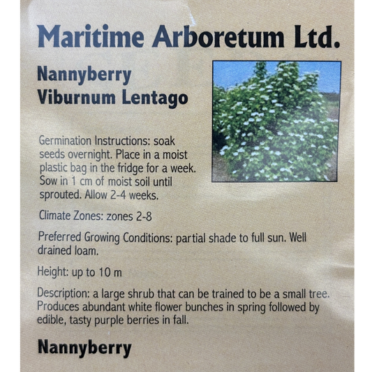 Maritime Arboretum Seed Nannyberry