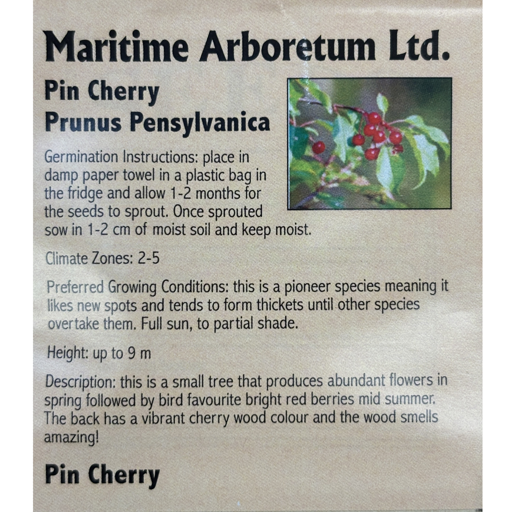 Maritime Arboretum Seed Pin Cherry
