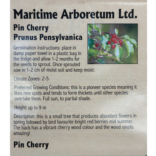 Maritime Arboretum Seed Pin Cherry