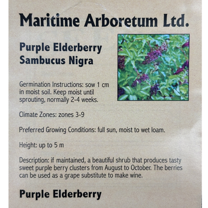 Maritime Arboretum Seed Purple Elderberry