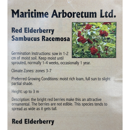 Maritime Arboretum Seed Red Elderberry