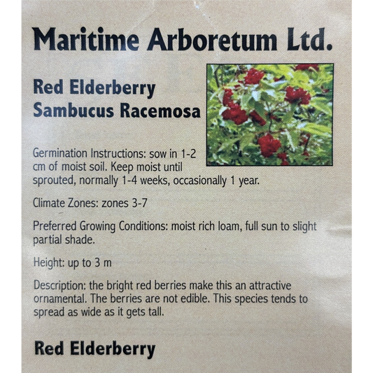 Maritime Arboretum Seed Red Elderberry