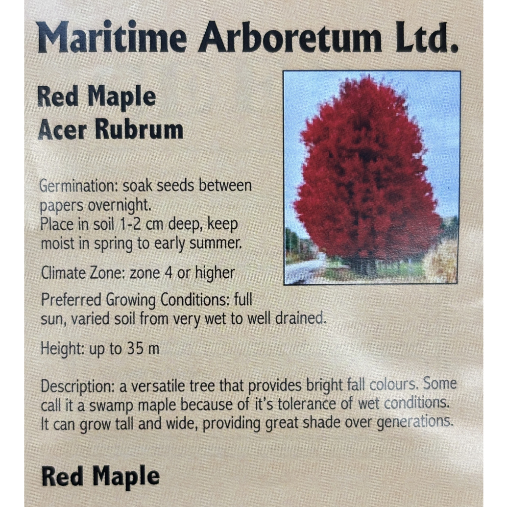 Maritime Arboretum Seed Red Maple