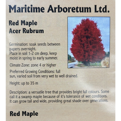Maritime Arboretum Seed Red Maple