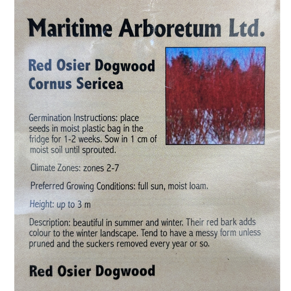 Maritime Arboretum Seed Red Osier Dogwood