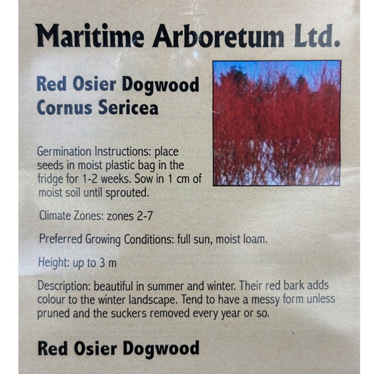 Maritime Arboretum Seed Red Osier Dogwood