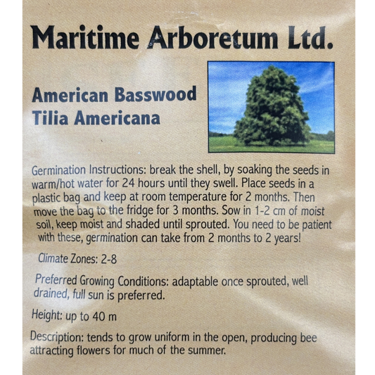 Maritime Arboretum Seed American Basswood
