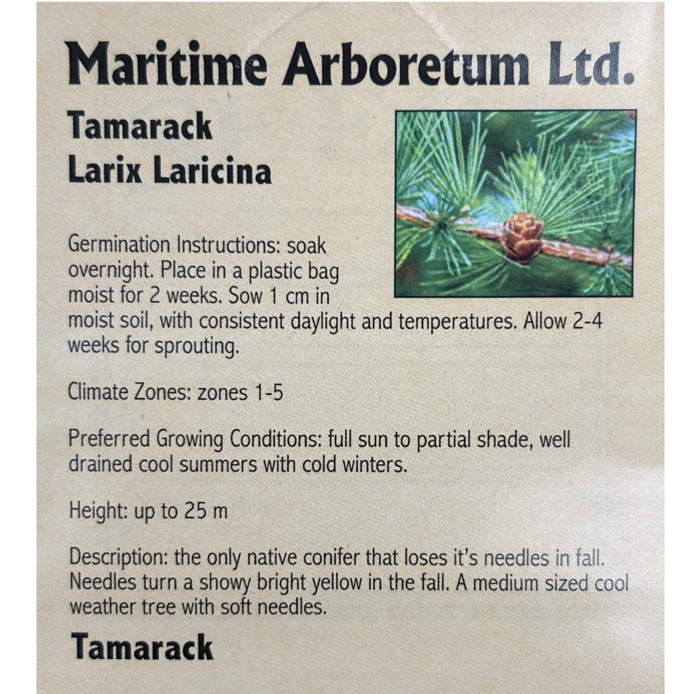 Maritime Arboretum Seed Tamarack