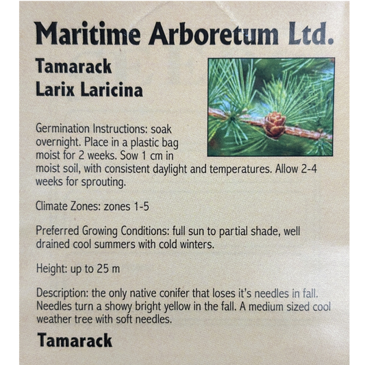 Maritime Arboretum Seed Tamarack