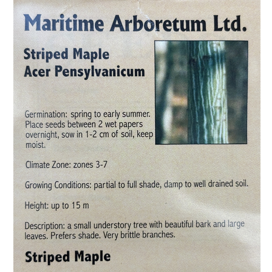 Maritime Arboretum Seed Striped Maple