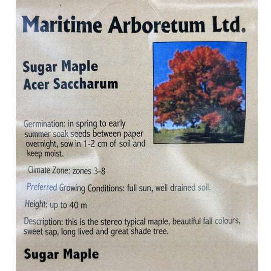 Maritime Arboretum Seed Sugar Maple