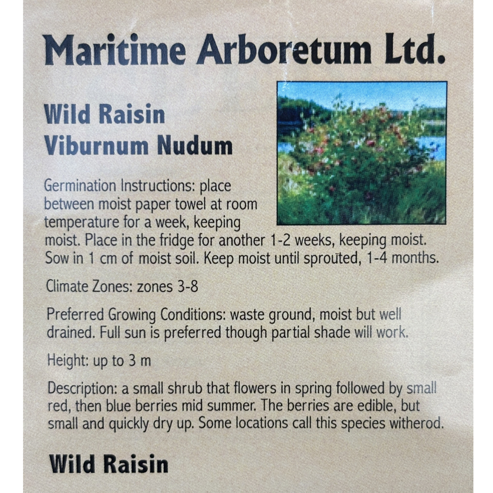 Maritime Arboretum Seed Wild Raisin
