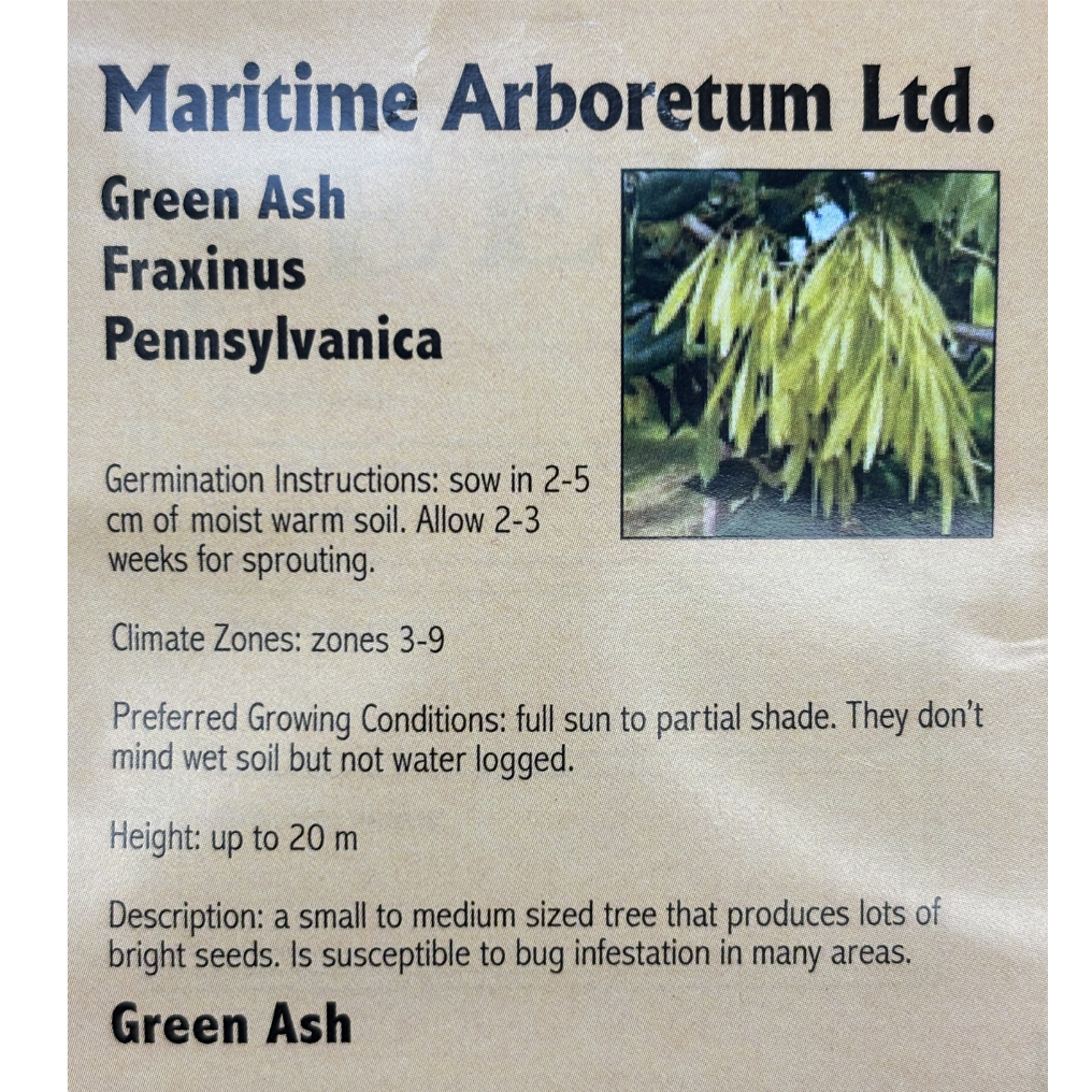 Maritime Arboretum Seed Green Ash
