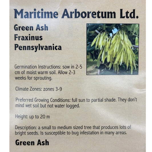 Maritime Arboretum Seed Green Ash