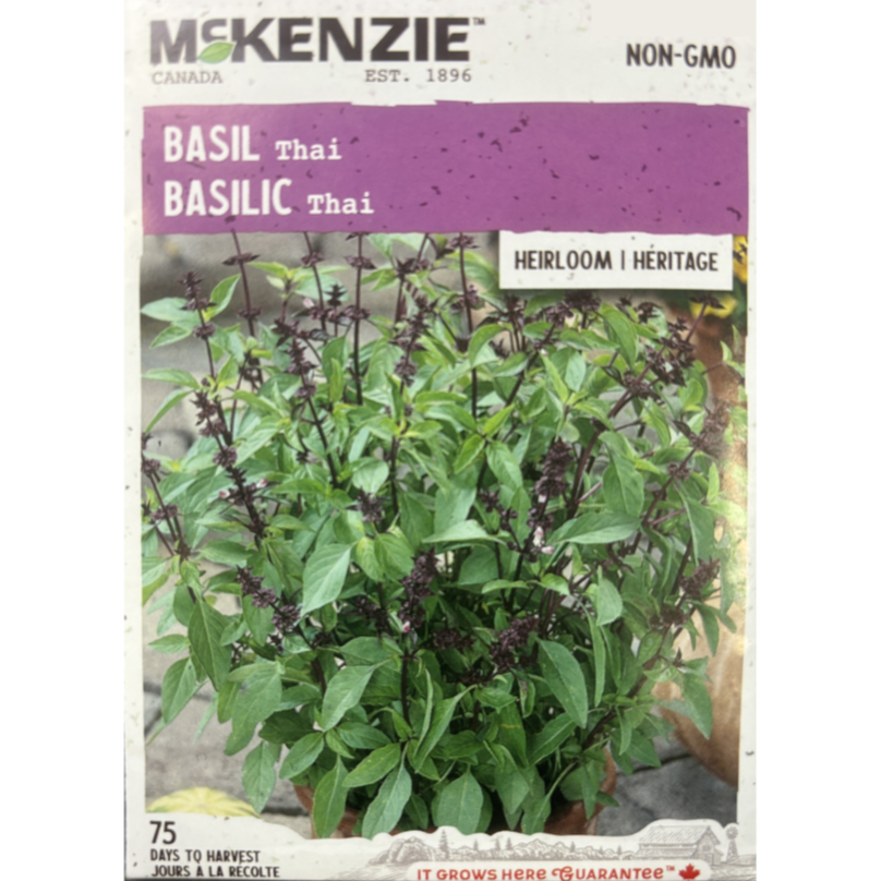 McKenzie Herb Seed Basil Thai Pkg.