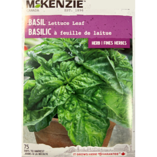 McKenzie Herb Seed Basil Lettuce Leaf Pkg.