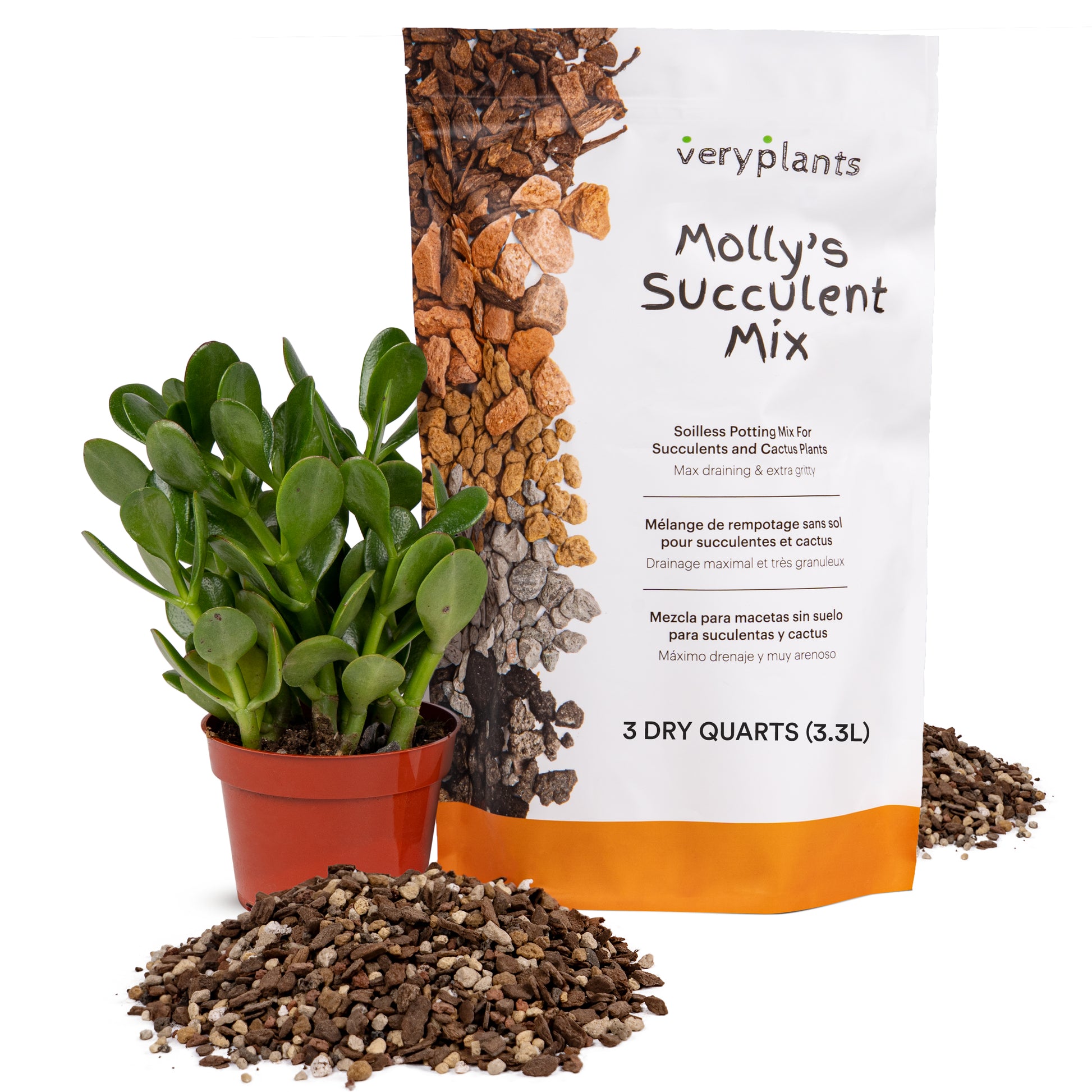 succulent mix ingredients Molly's Succulent Mix