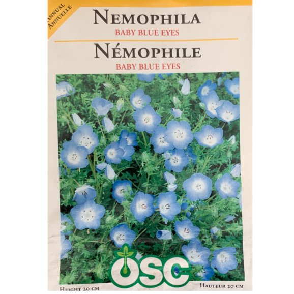 OSC Seeds Nemophila Baby Blue Eyes Pkg
