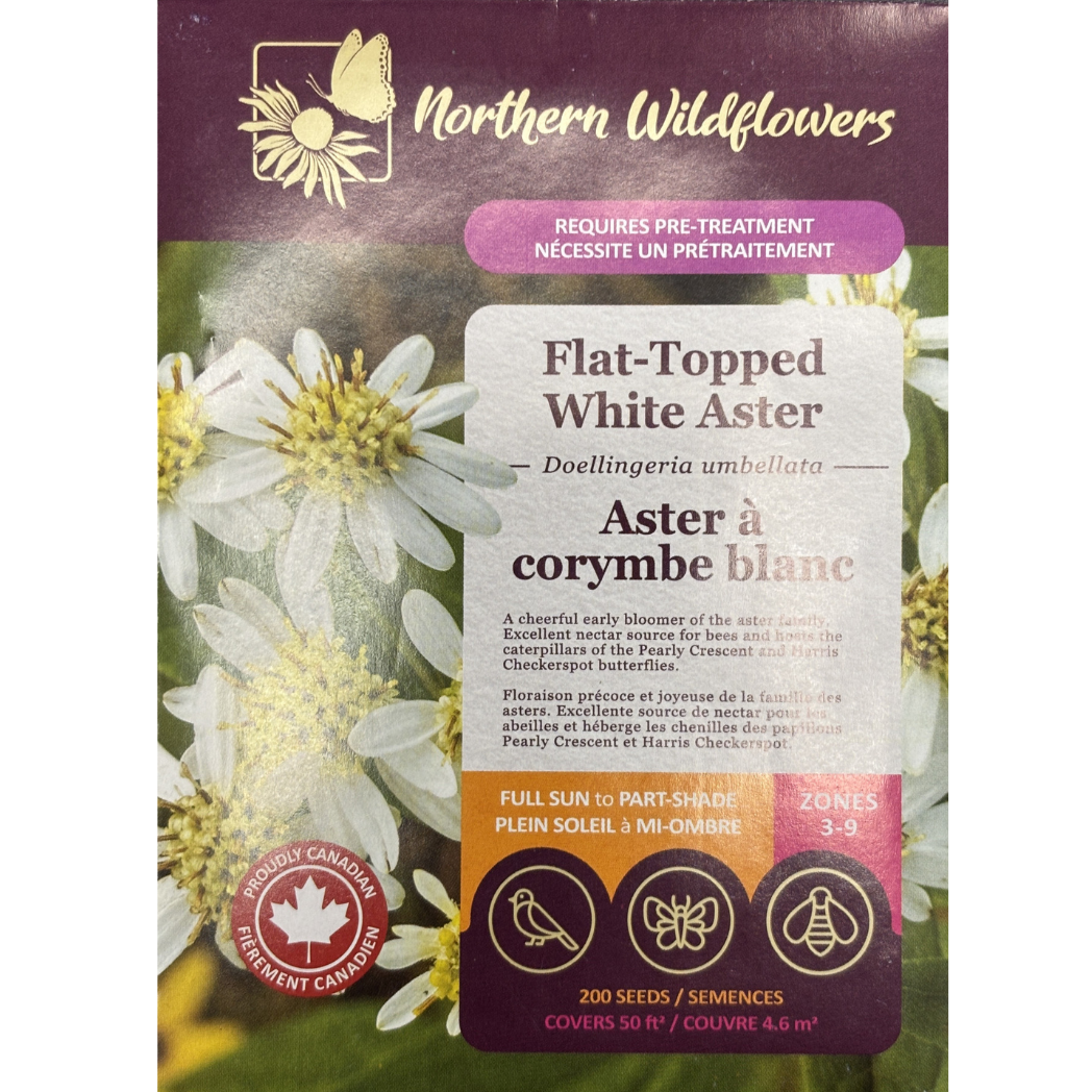 Northern Wildflowers Aster Flat-Topped White Pkg.