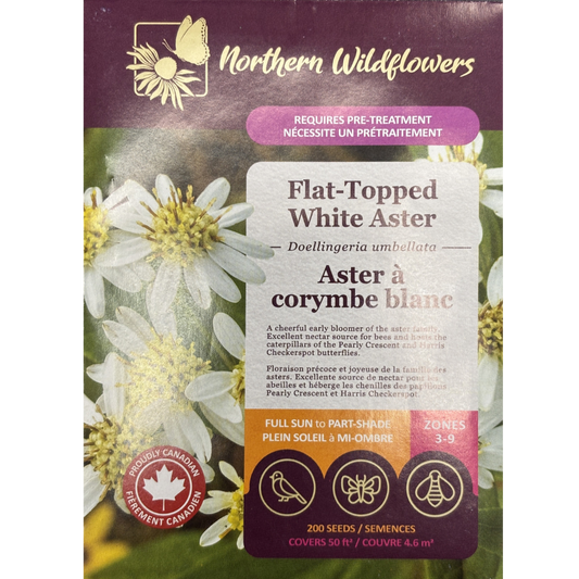 Northern Wildflowers Aster Flat-Topped White Pkg.