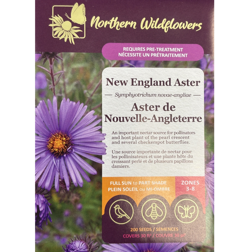 Northern Wildflowers Aster New England Pkg.
