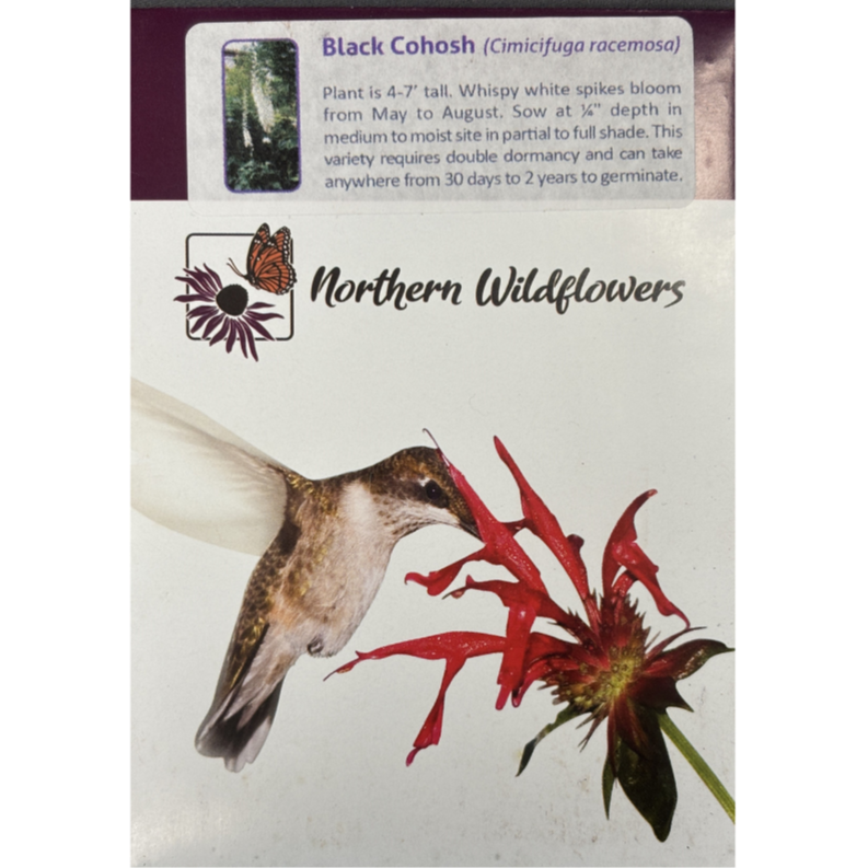 Northern Wildflowers Black Cohosh Pkg.