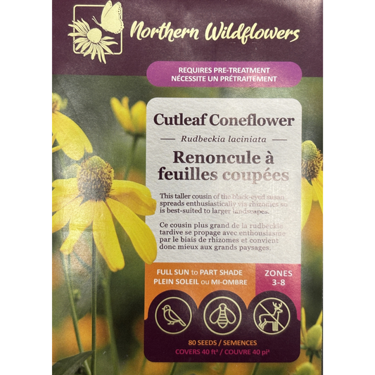 Northern Wildflowers Coneflower Cutleaf Pkg.