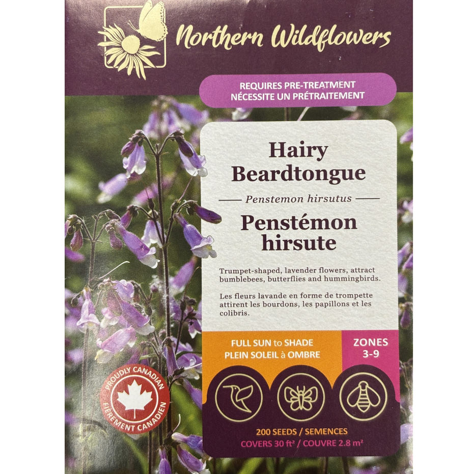 Northern Wildflowers Hairy Beardtongue Pkg.