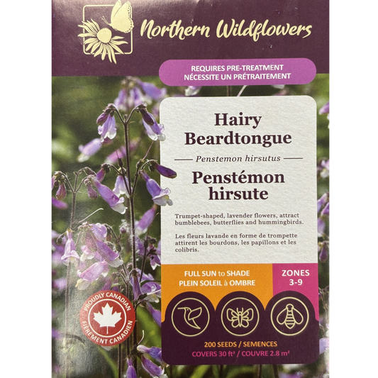Northern Wildflowers Hairy Beardtongue Pkg.