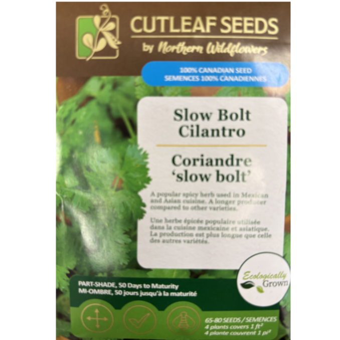 Northern Wildflowers Cilantro Slow Bolt Pkg.