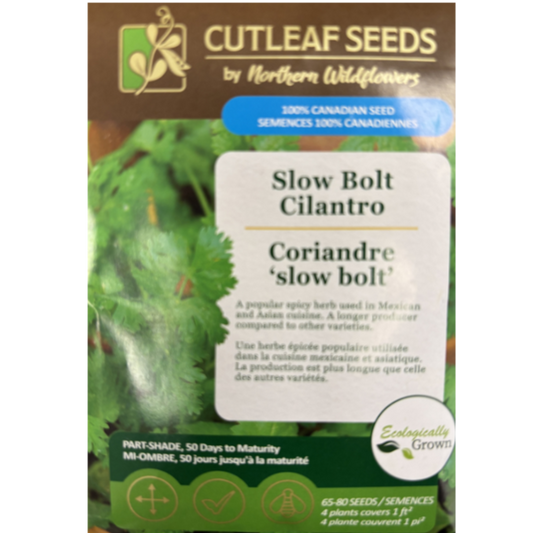 Northern Wildflowers Cilantro Slow Bolt Pkg.