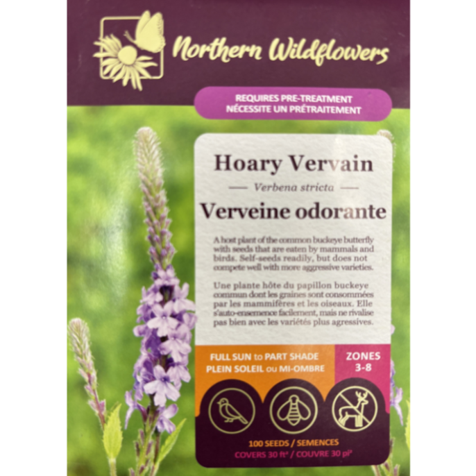 Northern Wildflowers Vervain Hoary Pkg.