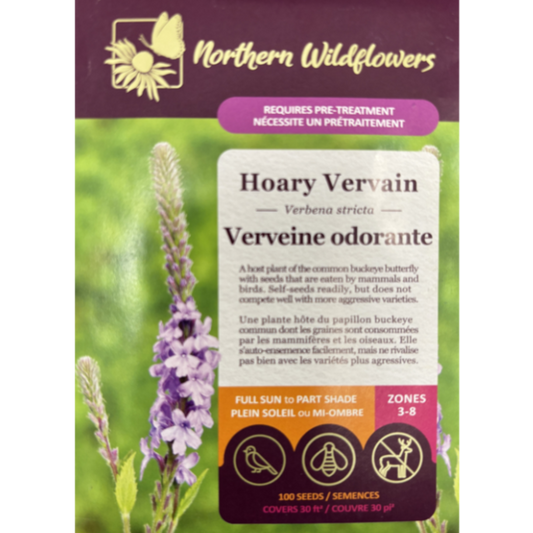 Northern Wildflowers Vervain Hoary Pkg.