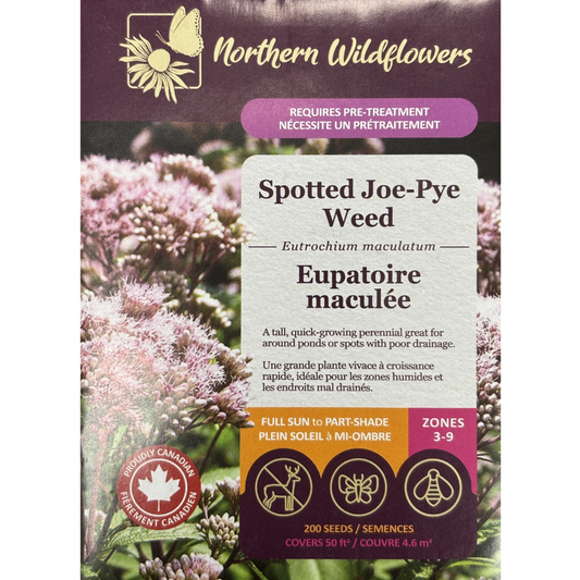 Northern Wildflowers Joe-Pye Weed Spotted Pkg.